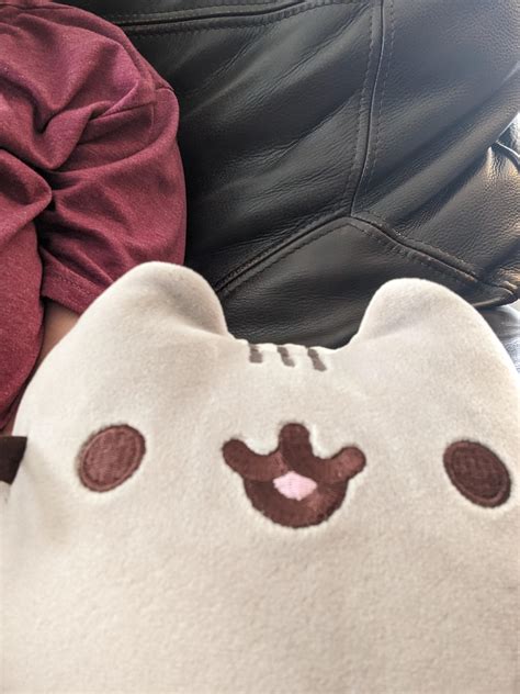 Feel free to use them for yours as well! imgur. . Pusheen reddit